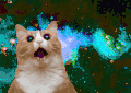太空 猫 丰富多彩 吓坏了