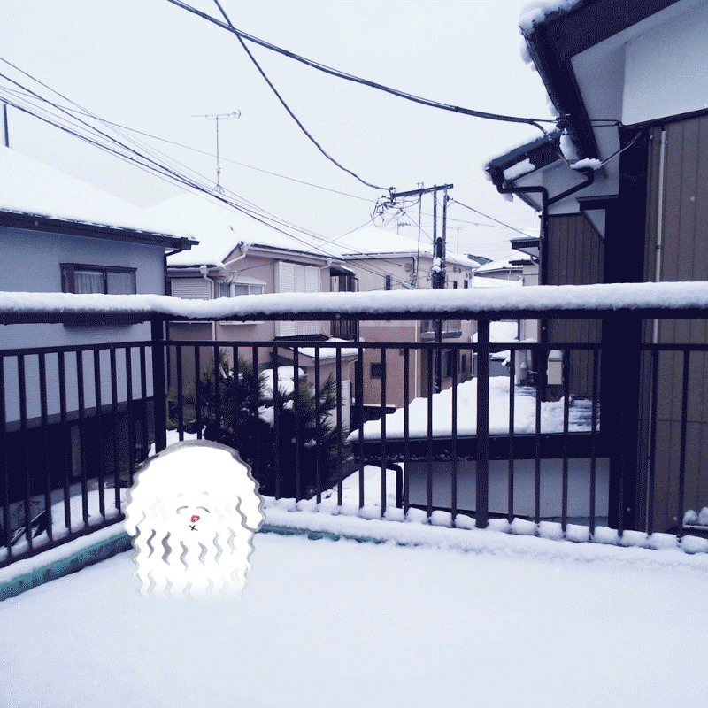 小狗 卡通 冷 下雪