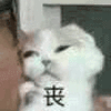 高糊 小表情 高糊表情 可爱表情