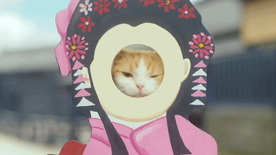 温泉猫 广告 日本 萌翻