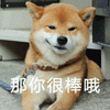 那你很棒哦 狗 赞 搞怪 逗