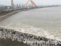 观海    措手不及   海浪太大了    太他妈不温柔了