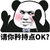 金馆长 逗比 熊猫头 请你矜持点OK