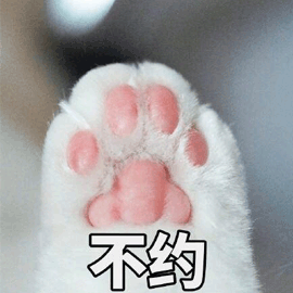 猫 不约 拒绝