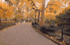 Around&the&world New&York&in&4K 公园 城市 秋天 纪录片 纽约 美国