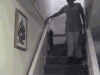猫咪 滑梯 可爱 搞笑