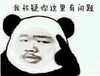 我怀疑你这里有问题 男子有问题 恶搞 熊猫