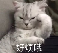 萌宠 猫星人 好烦哦 生气 呆萌 可爱