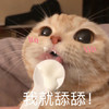 萌宠 猫星人 我就舔舔 开心 呆萌 可爱