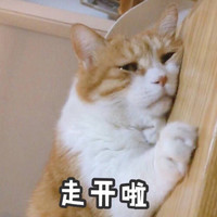 萌宠 猫星人 走开啦 嫌弃 呆萌 可爱
