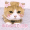 沙雕猫 猫咪 猫 可爱猫 猫表情包 猫咪表情包 小猫