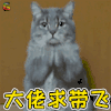萌宠 猫咪 猫 王者荣耀 大佬求带飞 搞怪 逗