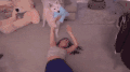 小狗 美女 玩耍 沙发