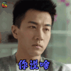 你说啥 继承人 刘恺威 蒙圈 soogif soogif出品