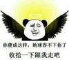熊猫人 飞翔 鹰 你傻成这样地球容不下你了收拾一下跟我走吧