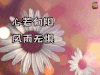 心情 伤感 文艺 soogif soogif出品 心若向阳 风雨无惧