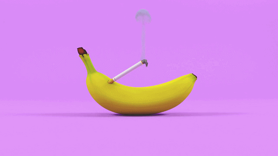 香蕉 艺术 吸烟 烟灰 香蕉把 大香蕉 香蕉超哥