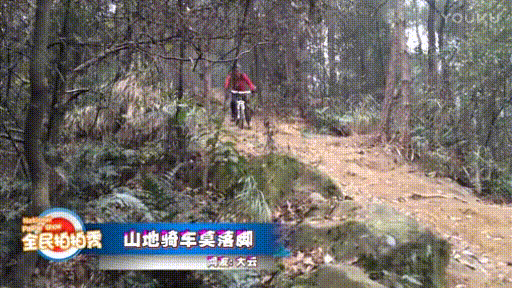 树林 自行车 危险 悲剧