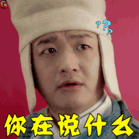欢喜密探 包贝尔 牛大宝 你在说什么 懵 soogif soogif出品