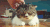 猫咪 按摩 享受 睡觉