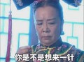 还珠格格 李明启 容嬷嬷 你是不是想来一针