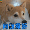 想你撒娇 狗 萌宠 动物 萌 可爱 soogif soogif出品