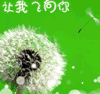 让我飞向你 表情 表情包