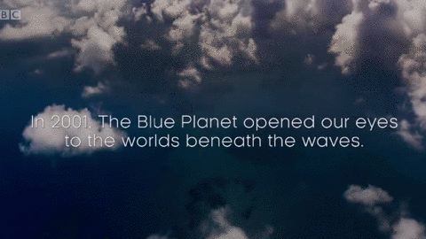 蓝色星球 大自然 历史 海洋