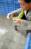 男子 辣椒 烟带 好辣呀