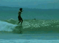 冲浪  海浪 水上运动 surfing