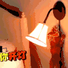 汪星人 狗狗 可爱 萌宠 狗