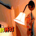 汪星人 狗狗 可爱 萌宠 狗