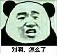 熊貓人 卡通 可愛 對啊怎么了