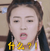 双世宠妃 梁洁 什么？！