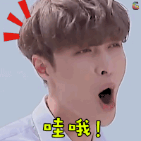 soogif soogif制作 极限挑战 张艺兴 哇哦 赞