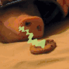 猪 搞笑 萌宠 可爱