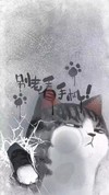 碎屏壁纸 抖音壁纸 壁纸 手机壁纸