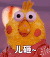 鹦鹉兄弟 儿砸 儿子