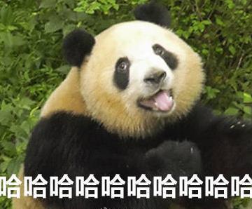 熊猫 可爱 搞笑 逗 动物园 文字表情包