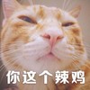 萌宠 猫星人 你这个垃圾 嫌弃 呆萌 可爱