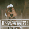 松鼠 惊吓 萌宠 斗图 吓死宝宝了