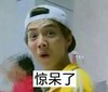 惊呆了 鹿晗 小鲜肉 跑男