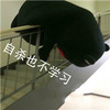 熊本熊 带字 搞笑 自杀也不学习