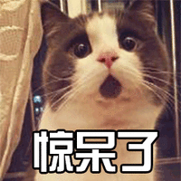 猫 喵星人 萌宠 惊呆了 soogif soogif出品