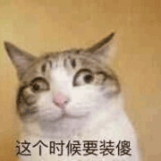 沙雕猫 猫咪 猫 可爱猫 猫表情包 猫咪表情包 小猫