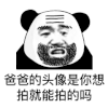 熊猫头 文字表情包 爸爸的头像是你像拍就能拍的吗 搞笑 逗 沙雕