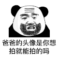 熊猫头 文字表情包 爸爸的头像是你像拍就能拍的吗 搞笑 逗 沙雕