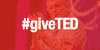 泰迪熊 Ted