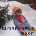 独自心碎 猫咪 雪地 可爱