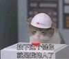 萌宠 猫星人 按下这个健你就是我的人了 你属于我 呆萌 可爱
